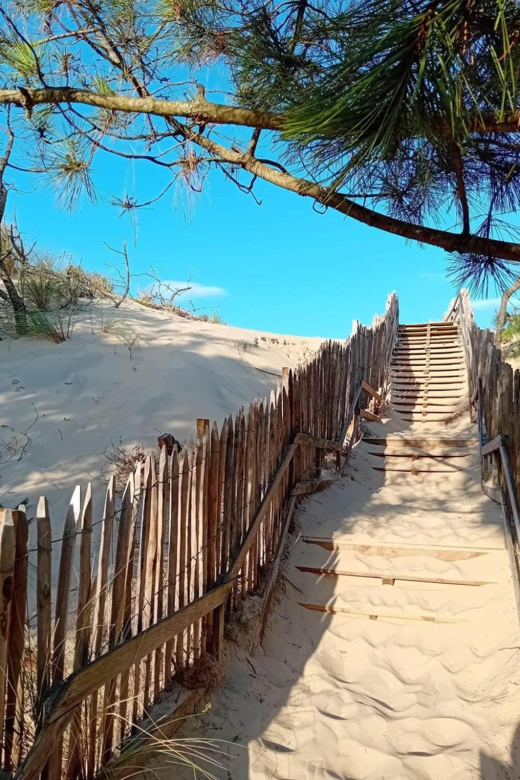 Holiday Home Les Bruyeres By Interhome Mimizan-Plage Bagian luar foto